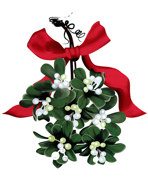 Illustration of mistletoe